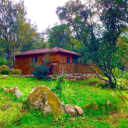 L'Aravone Lodge Sartene  Luaran gambar