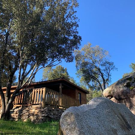 L'Aravone Lodge Sartene  Luaran gambar