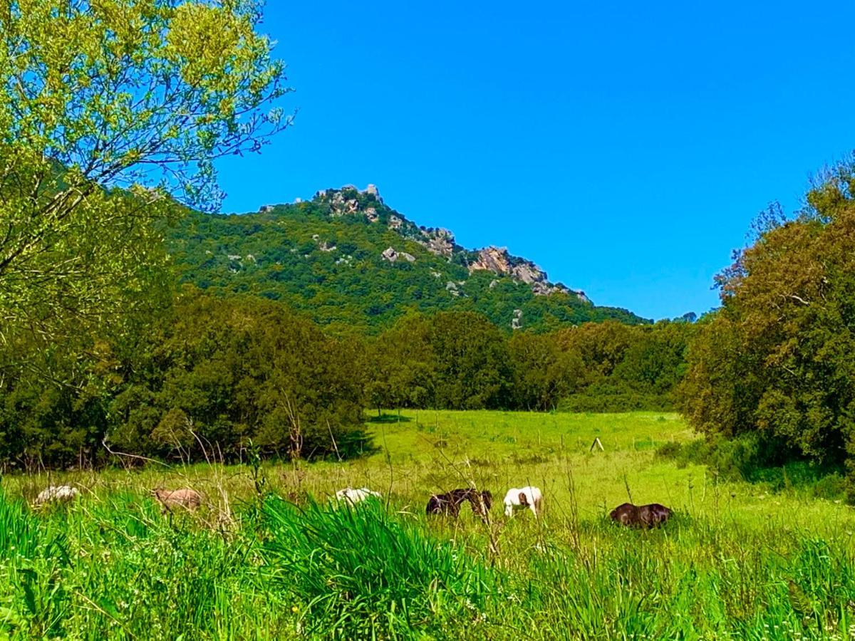 L'Aravone Lodge Sartene  Luaran gambar