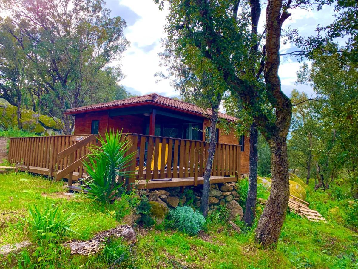 L'Aravone Lodge Sartene  Luaran gambar